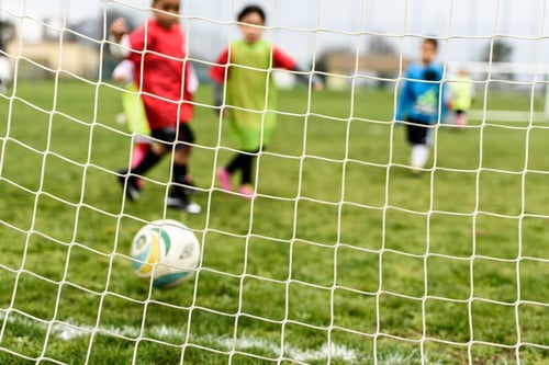 AdobeStock_124395953